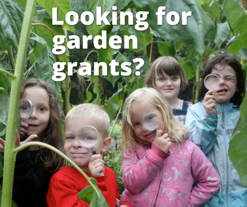 Look no further! Our new SeedMoney program offers grants to help start or sustain diverse food garden projects in the US and abroad. Our deadline is Nov 12 so get started today: http://seedmoney.org/